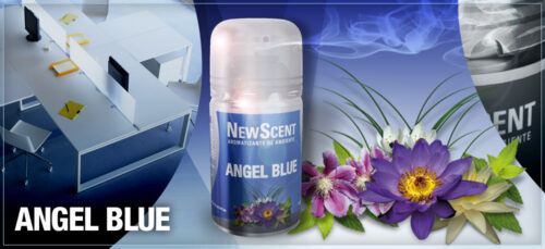 NEW SCENT RTO.ANGEL BLUE