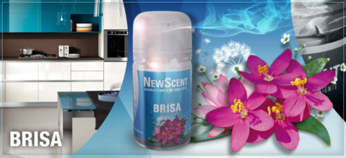 NEW SCENT RTO.BRISA