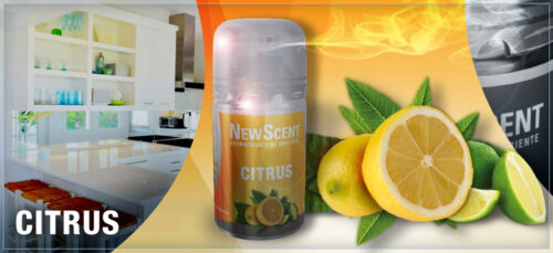 NEW SCENT RTO.CITRUS