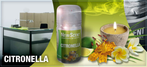 NEW SCENT RTO.CITRONELLA