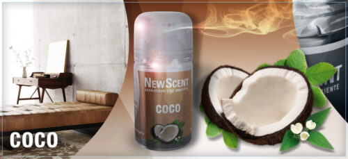NEW SCENT RTO.COCO