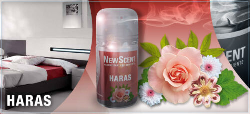 NEW SCENT RTO.HARAS