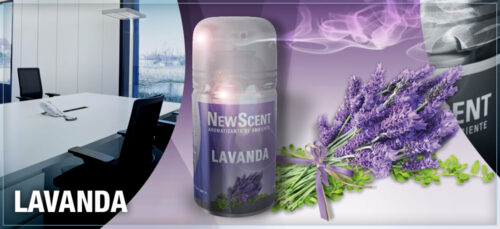 NEW SCENT RTO.LAVANDA