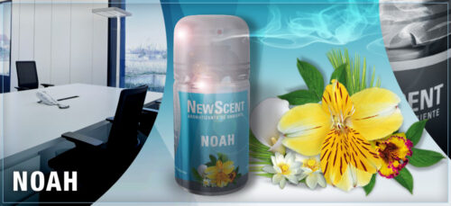 NEW SCENT RTO.NOAH