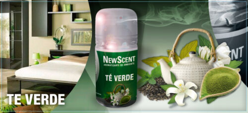 NEW SCENT RTO.TE VERDE