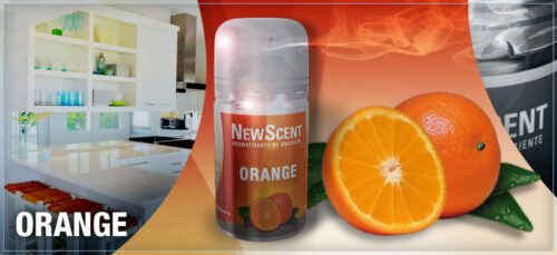 NEW SCENT RTO.ORANGE