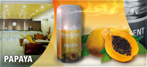 NEW SCENT RTO.PAPAYA